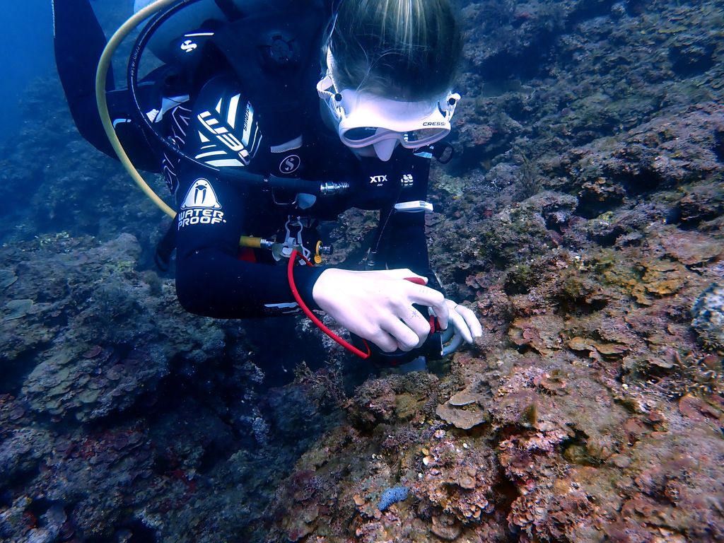 plongeur sous l'eau prend photo